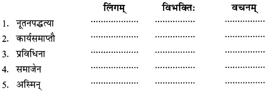 Solutions Class 8 रुचिरा Chapter-8 (संसारसागरस्य नायकाः)