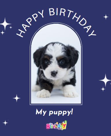  birthday wishes for Dog