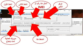 IMEI