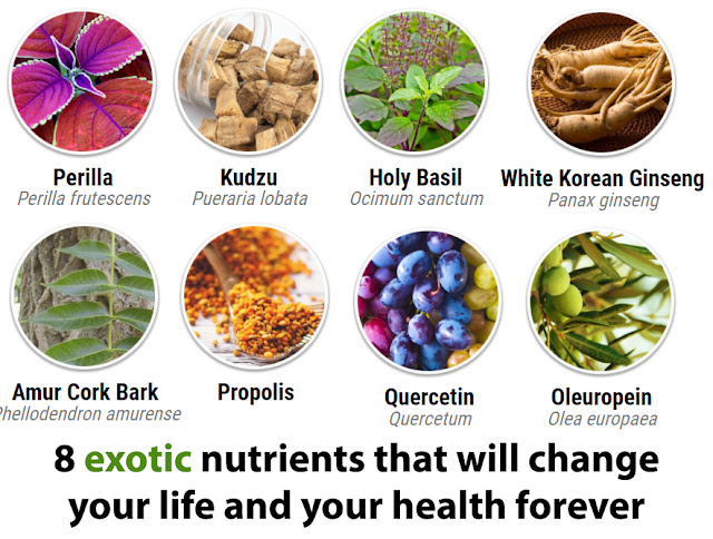 8 exotic nutrients that will change your life and your health forever