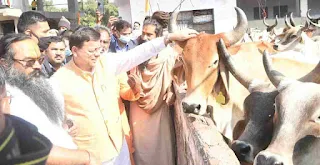 gopashtami mahotsav in haridwar, krishnayan goshaala