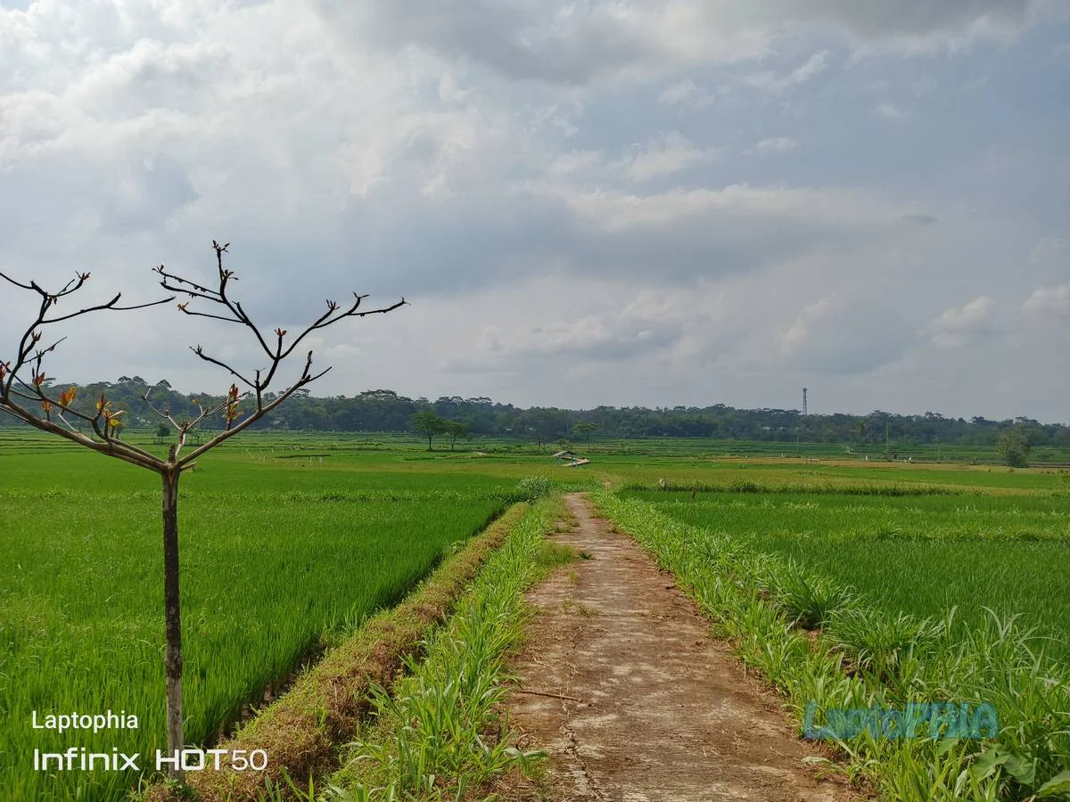 Menjajal Langsung Infinix Hot 50, Smartphone Sejutaan yang Bikin Penasaran!