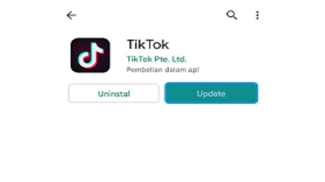 Cara Mengatasi TikTok Tidak Bisa Like