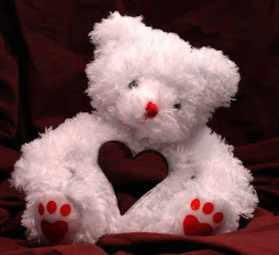 white teddy bear images