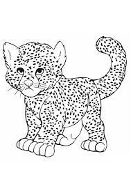 16 of the best cheetah coloring pages | Free Download