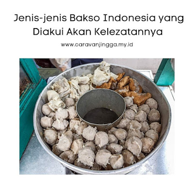jenis-jenis bakso indonesia