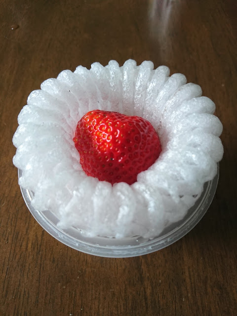 41號草莓，果實No. 41 strawberry, fruit