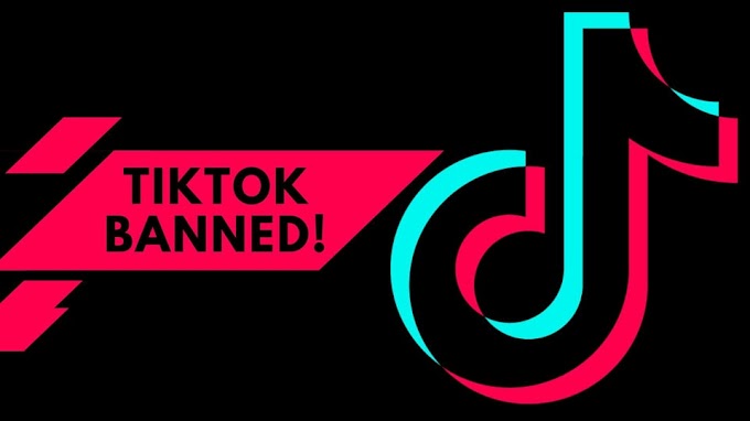 Parliament Blocks TikTok from Its Devices and Network