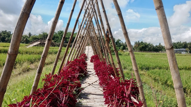 Desa Wisata Sidorejo Indah (Dewi Sri) Jabung Malang