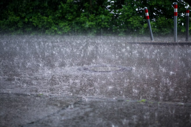 8. India is the wettest inhabited place on Earth