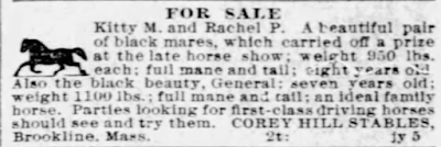 Ad for "a beautiful pair of black mares"