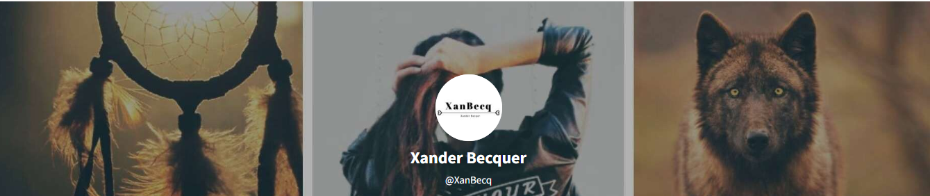         Xander Becquer