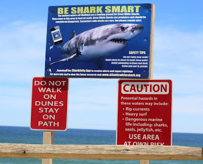 dangerous people who are sharks, warnings