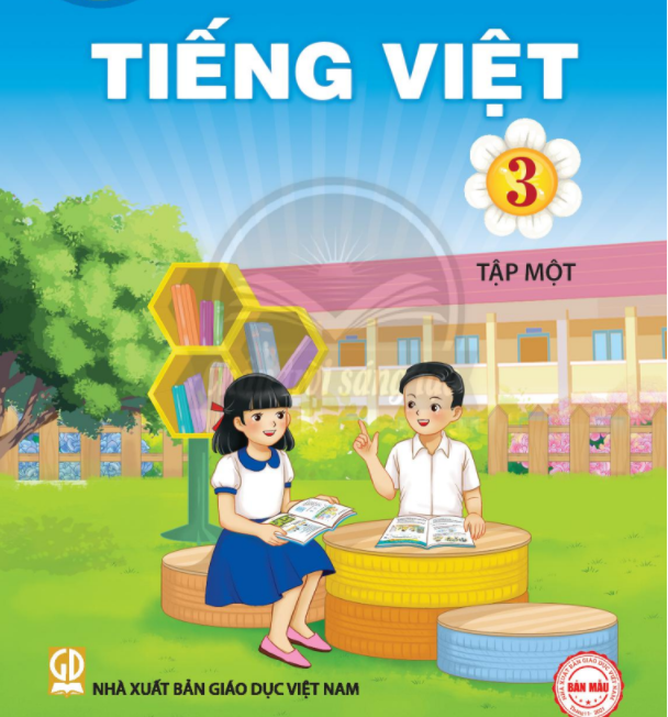 Tổng hợp sách giáo viên, sách giáo khoa CHÂN TRỜI SÁNG TẠO và KẾT NỐI TRI THỨC lớp 3, 7, 10