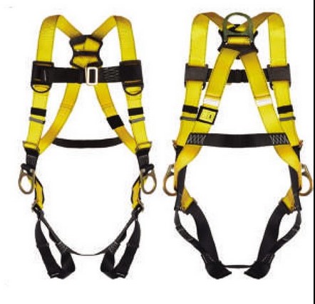 Usefulness of safety physique harness