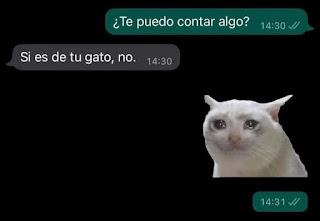 Conversación de WhatsApp sobre gato