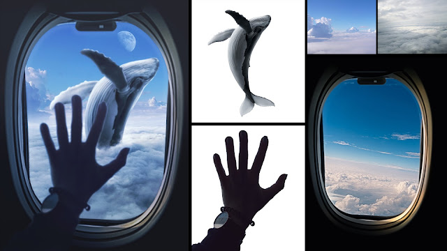 Flying-Whale-Photo-Manipulation-Photoshop-Tutorial-thumb