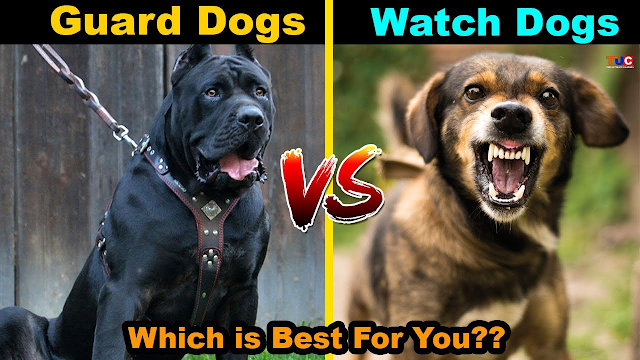 The Difference Between a Watch Dog and a Guard Dog
