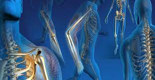 Orthopedic Trauma Devices