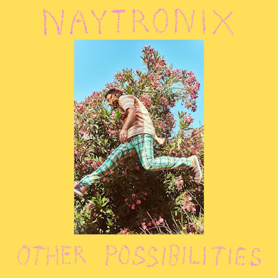 Naytronix Other Possibilities album