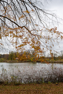 Naturfotografie Schwielowsee Havel Schloss Petzow