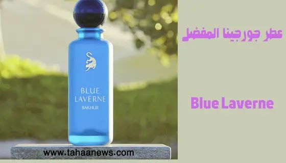 عطر جورجينا المفضل العطر السعودي بلو لافيرن Blue Laverne