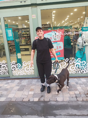 A lady with her Pit Bull terrier in Rimini Old Town.