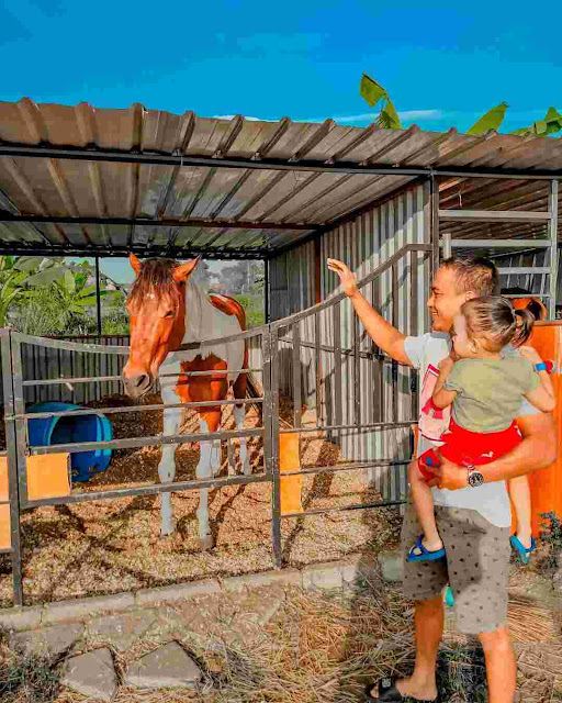 Tiket Masuk dan Lokasi Yussar Fishing and Playground, Wisata Edukasi Terbaik di Sidoarjo Tiket Masuk dan Lokasi Yussar Fishing and Playground, Wisata Edukasi Terbaik di Sidoarjo