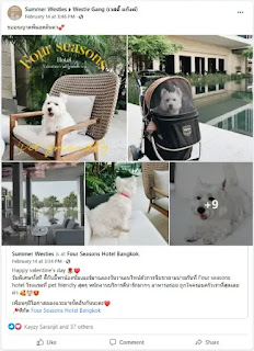 thailand tourism campaign promotion marketing branding