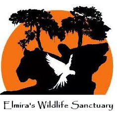 Elmira's Wildlife Sanctuary