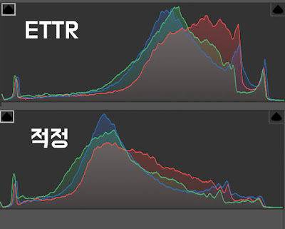 ETTR-히스토그램-예시