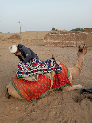 Fitting the "Saddle" of the camel at Sam Sand Dunes in Jaisalmer.