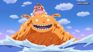 ワンピースアニメ WCI編 858話 アメウミウシ | ONE PIECE ホールケーキアイランド編