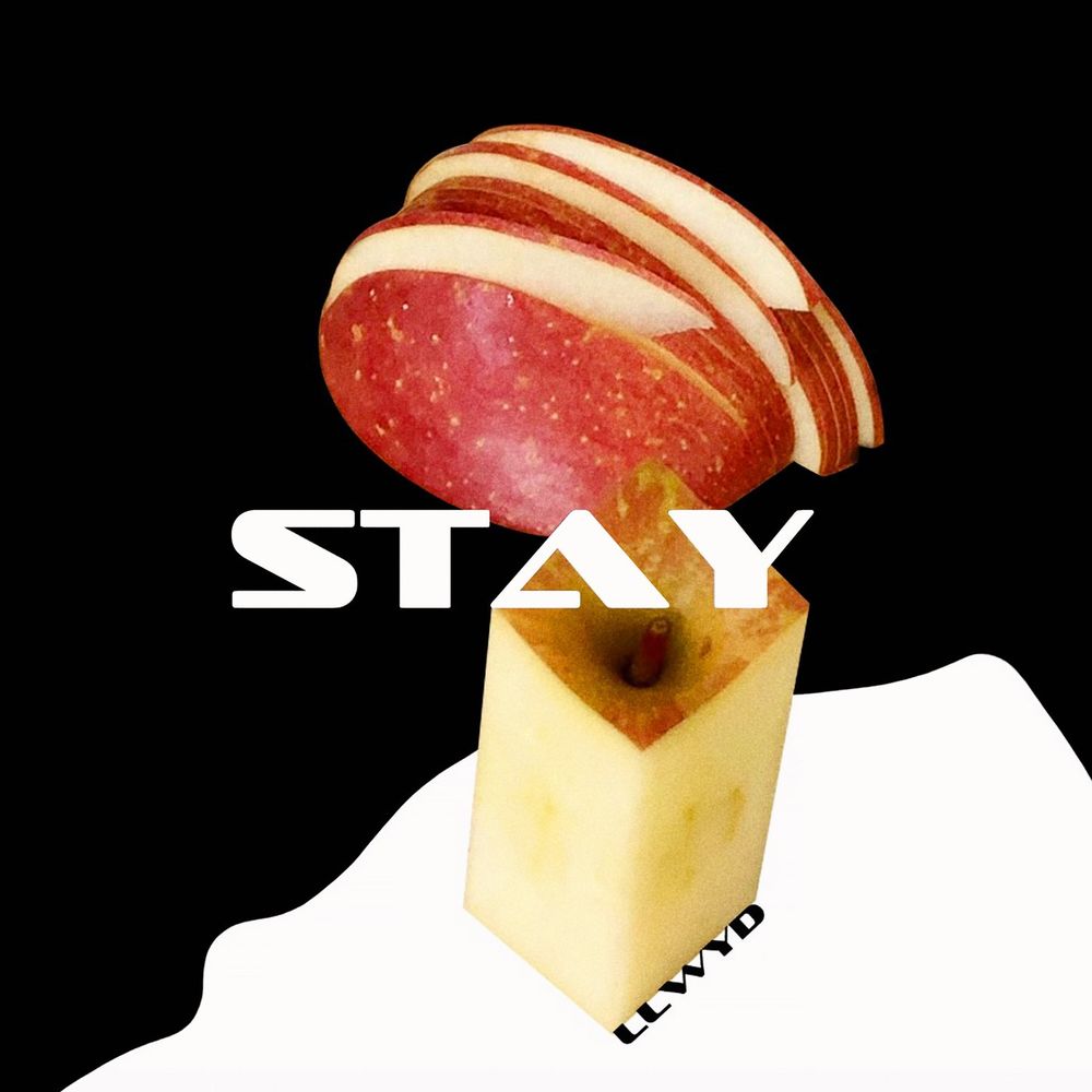 Llwyd – STAY – Single