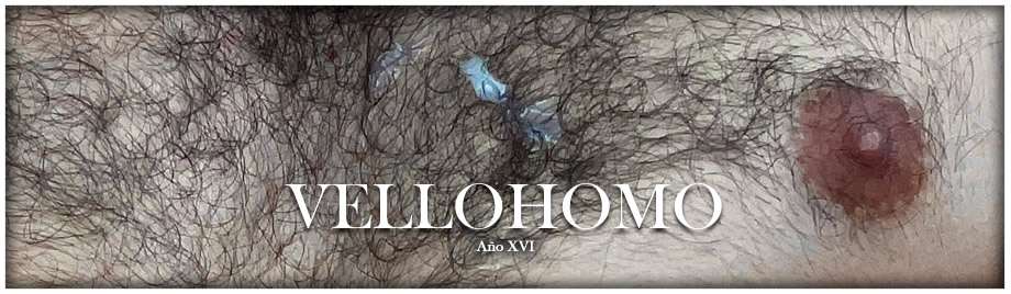 Vellohomo