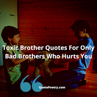 Toxic Brother Quotes For Only Bad Brothers Who Hurts You
