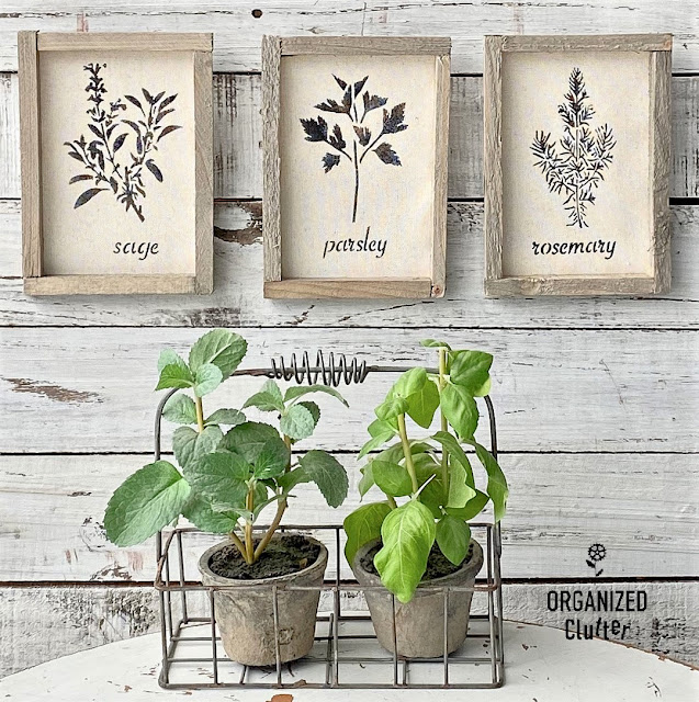 Photo of Dollar Tree Reverse Canvas stenciled herb wall art.