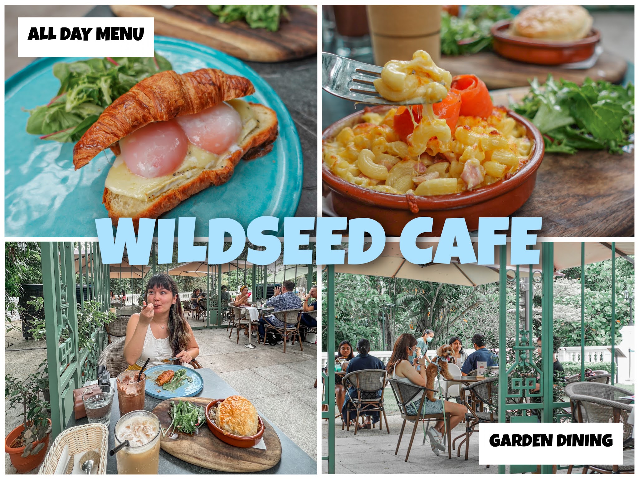 wildseed-cafe-review