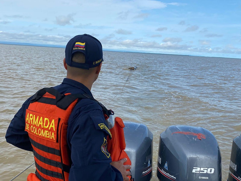 Onça-pintada é resgatada no meio do mar, a quase 3 km da costa da Colômbia