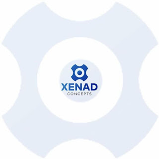 Brand Identity Design for Xenad Concepts