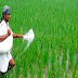 कृषि विभाग ने दी किसानों को फसलों में संतुलित मात्रा में खाद का उपयोग करने की सलाह ...