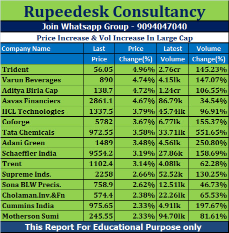 Price Increase & Vol Increase In Large Cap