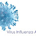 Jaguarari registra primeiro caso de influenza H3N2