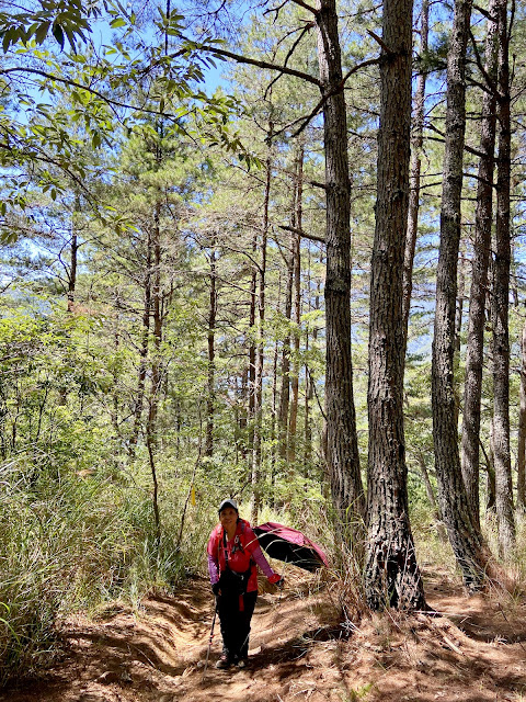 往馬武霸山