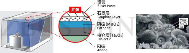 the structure of tantalum capacitors