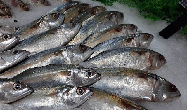 Bantu Pencegahan  Stunting, KKP Gencarkan Gerakan Memasyarakatkan Makan Ikan