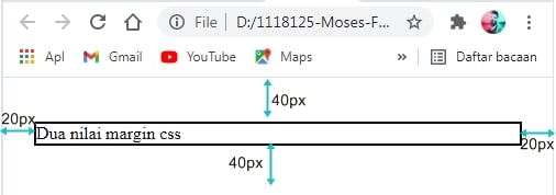 margin css dengan dua nilai