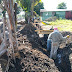 Avanza construcción Cementerio Municipal Ornamental de San Cristóbal