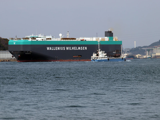 Toronto - a Wallenius Wilhelmsen Roro Auto Carrier Vessel 004