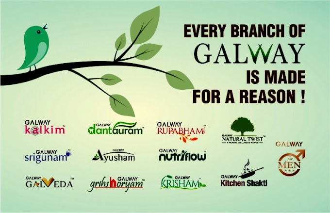 Every Branch of Galway is made for a reason! - गॉलवे की हर शाखा एक कारण से बनी है!